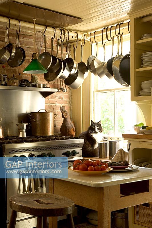Cat on windowsill in country kitchen 