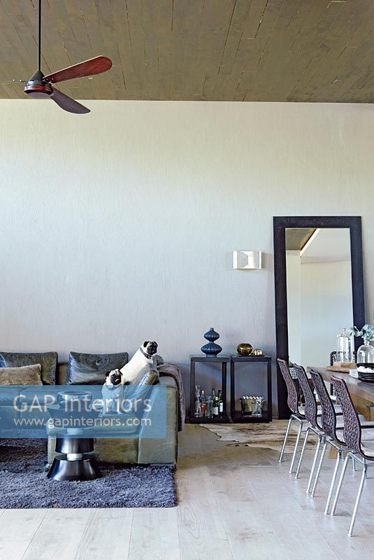 Pet dogs in modern living and dining area 