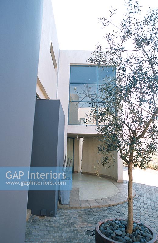 Modern home facade with a potted tree