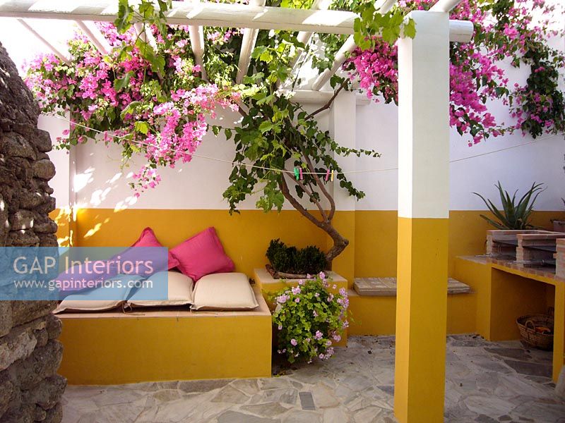 Courtyard with seating area and Bouganvillea climbing on pergola