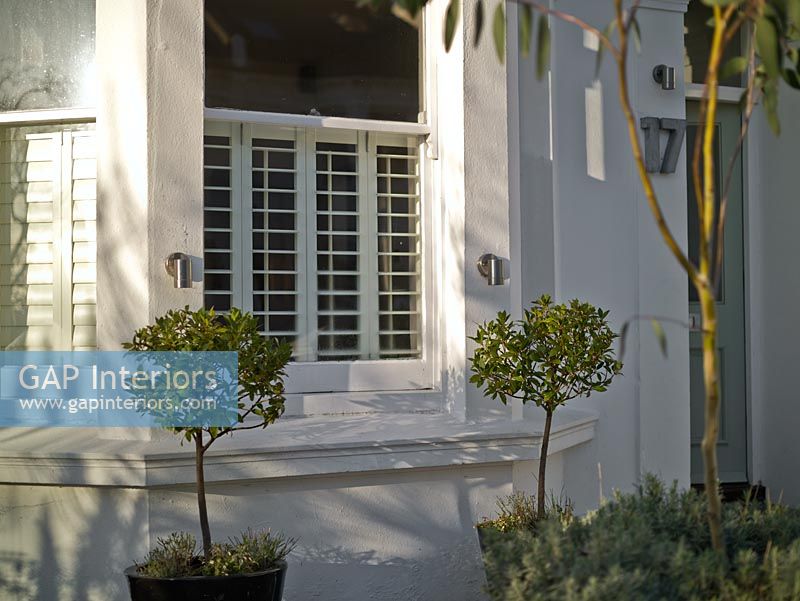 Modern Victorian exterior with plantation style shutters, topiary bay trees