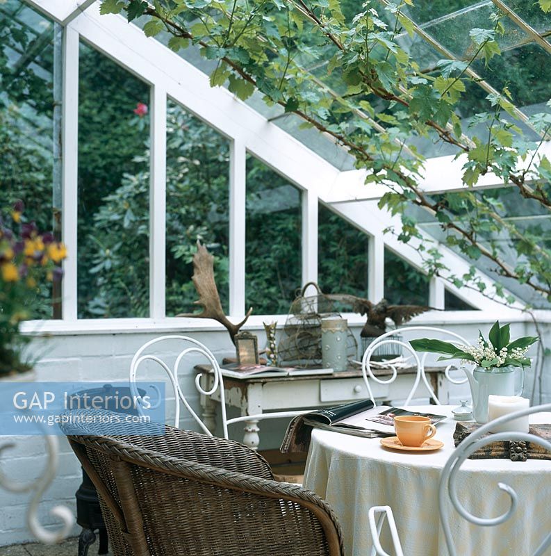 Table and chairs in conservatory