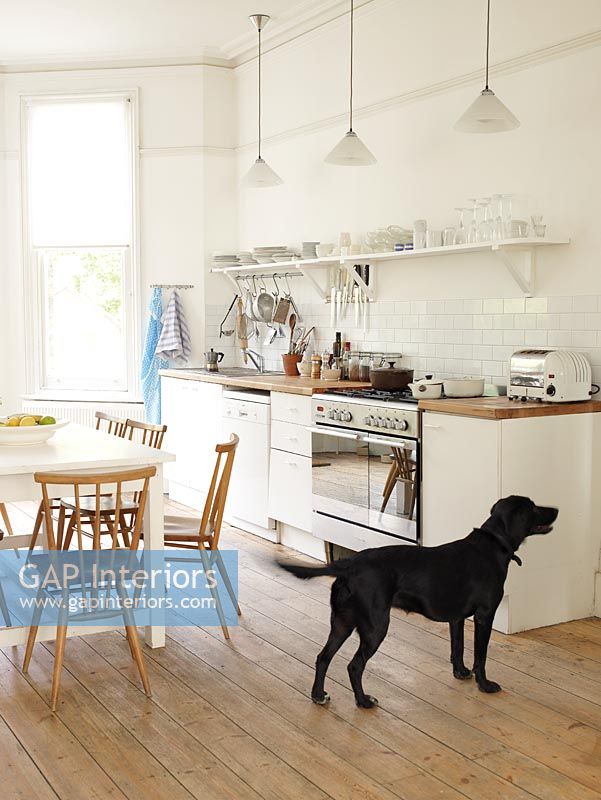 Modern kitchen and black dog