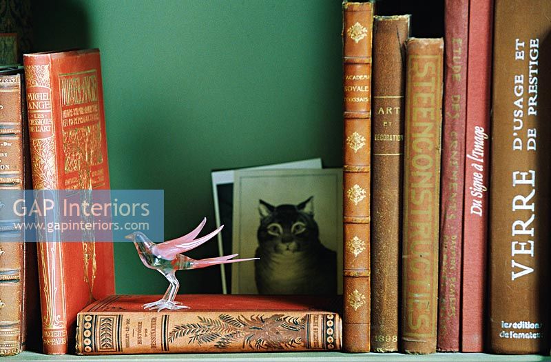 Glass bird on bookshelf 
