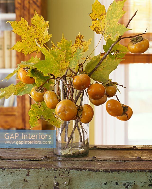 Display of leaves and sharon fruit in vase 