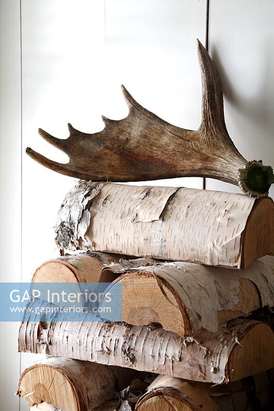 Logs and antler