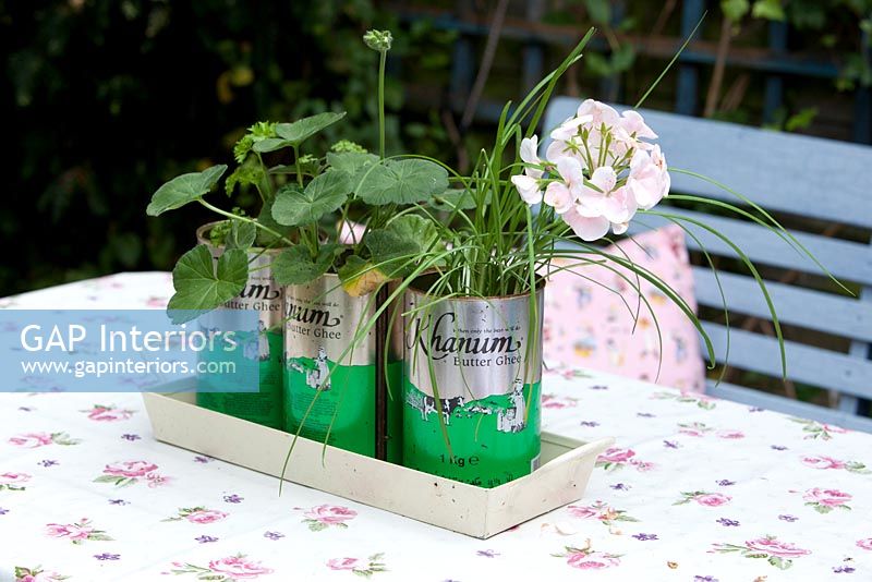 Plants growing in recycled food tins