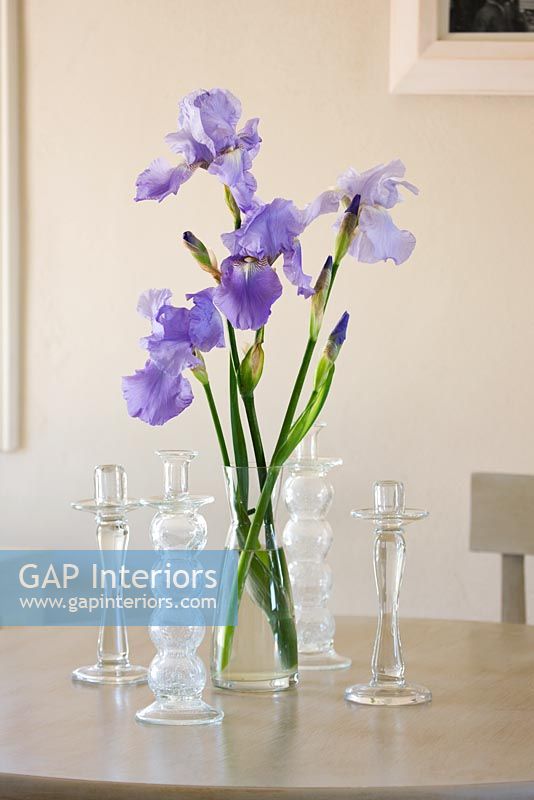 Purple Irises in glass vase