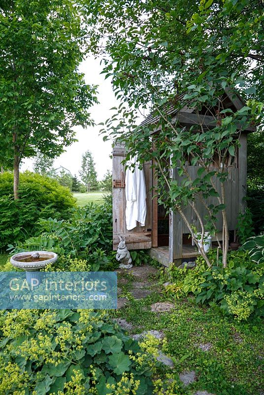 Timber outbuilding surrounded by shade loving plants