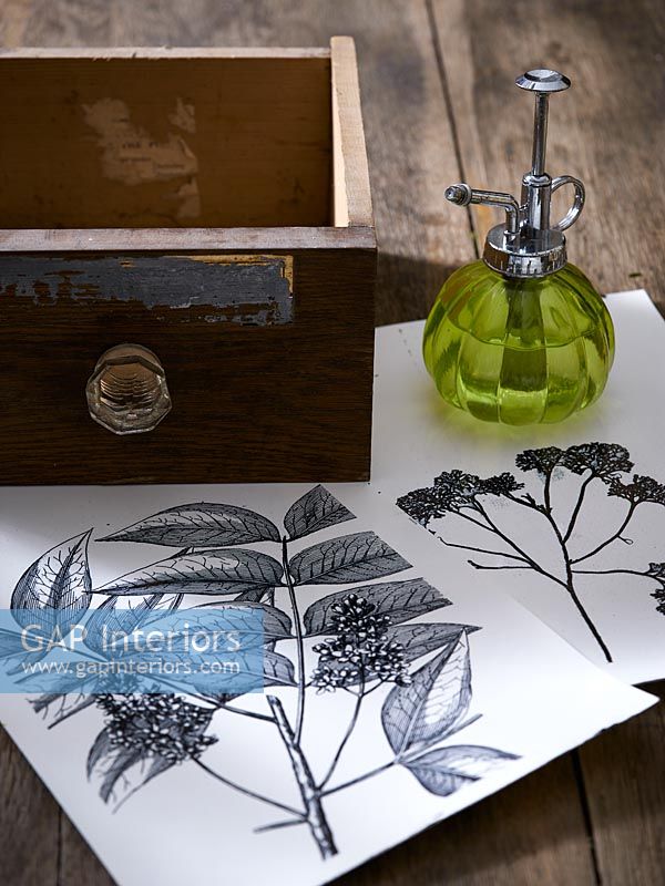 Crafts projects using botanical prints