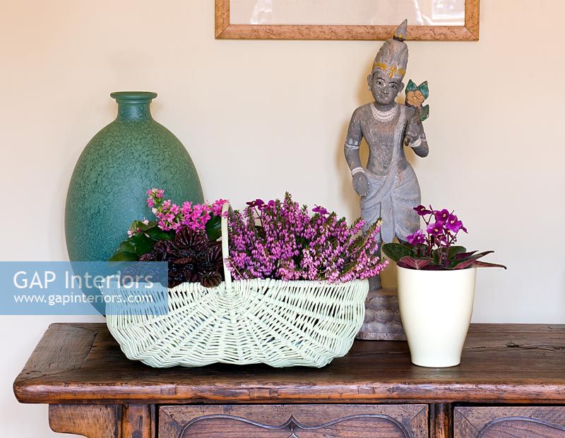 Flowering Heather, African Violets and Flaming Katy in pots on sideboard