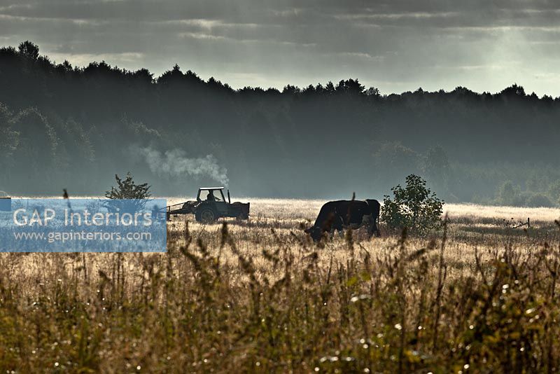 Arable fields, Poland