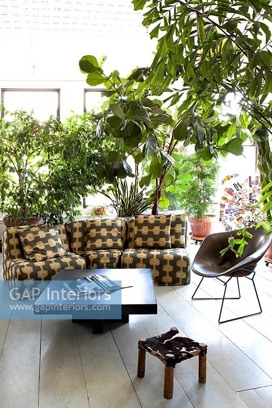 Sun lounge with plants
