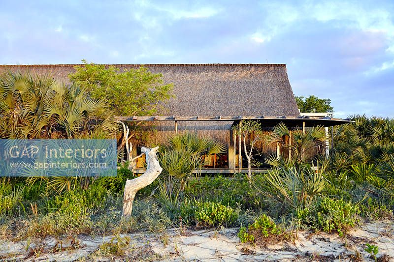 Beach house with thatched roof