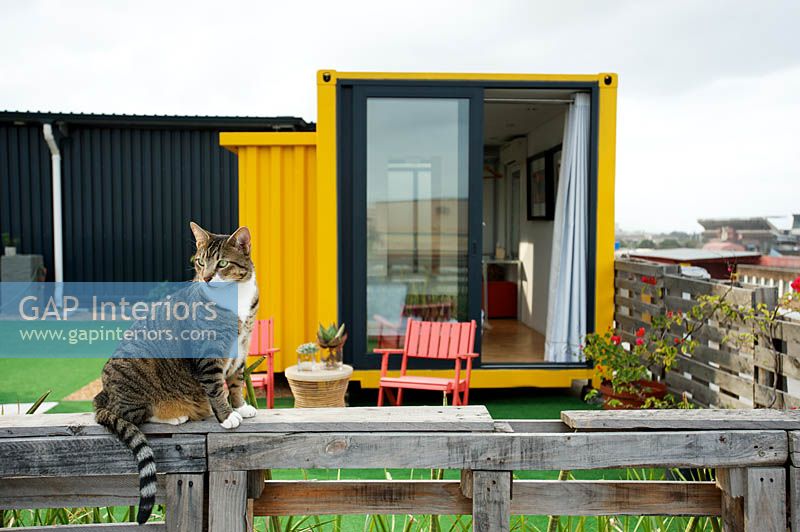 Cat sitting on fence made from recycled wood