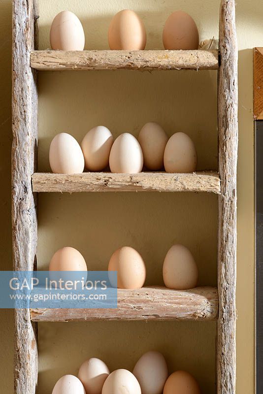 Rustic egg storage