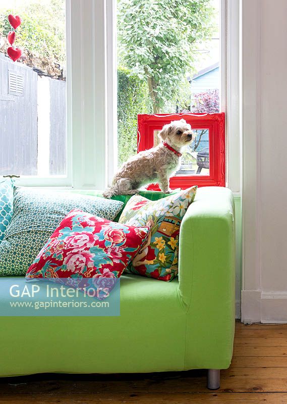 Patterned cushions on green sofa