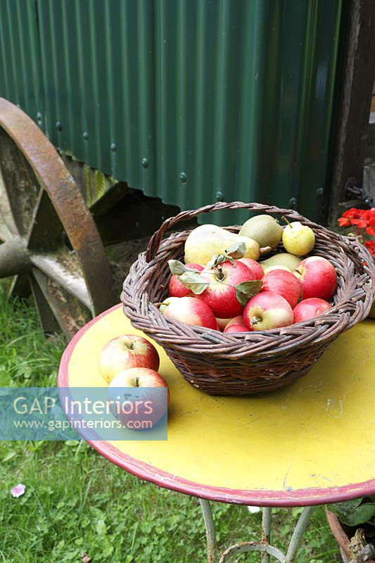 Basket of apples on garden table
