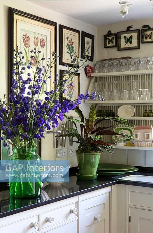 Houseplants and glass pot of Delphinium flowers on kitchen counter