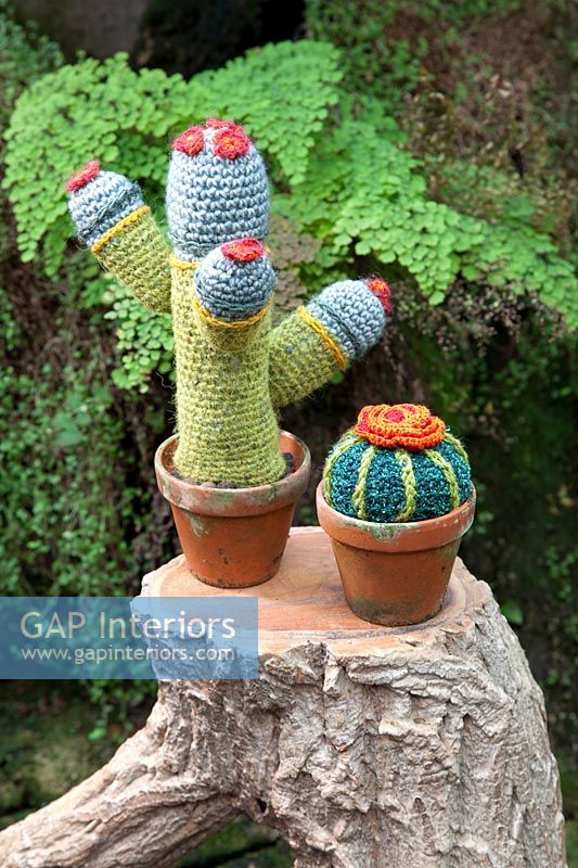 Colourful cactus ornaments
