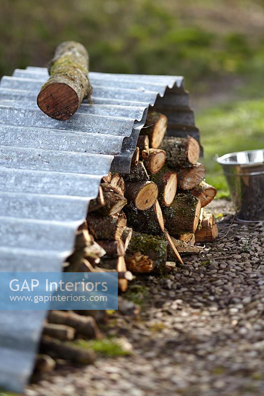 Log pile under corrugated iron sheet
