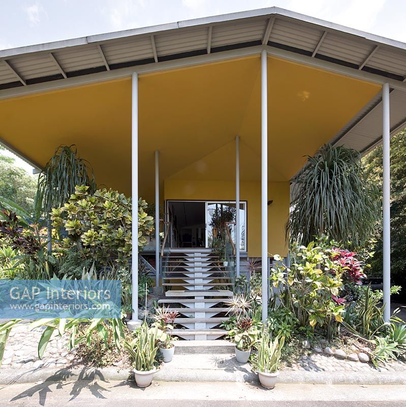 Entrance to contemporary house surrounded by tropical planting