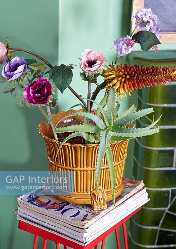 Houseplant and flower in ceramic pot