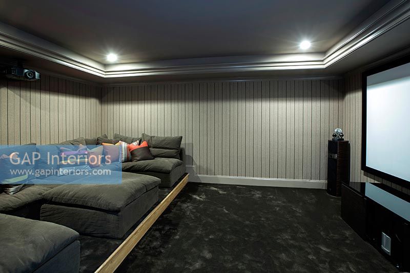 Modern sofa in cinema room