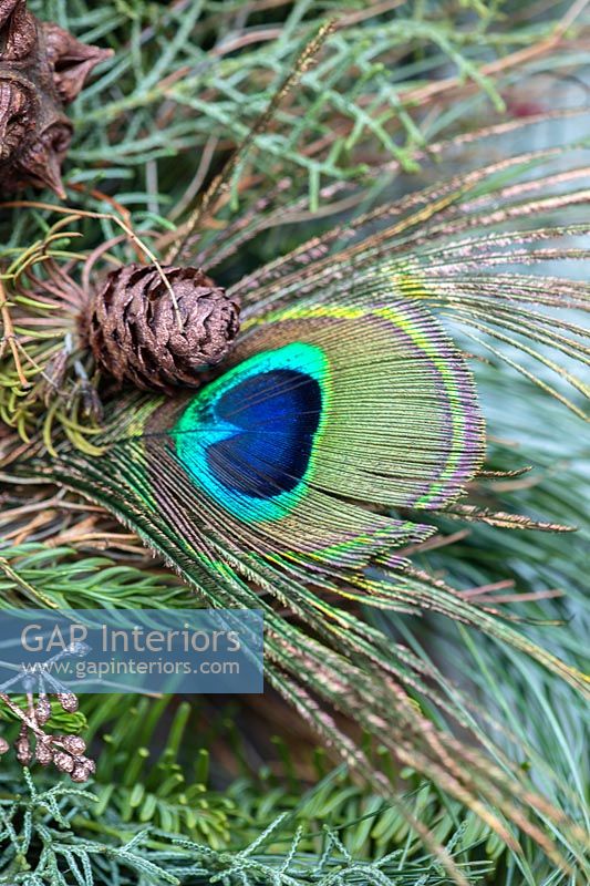 Peacock feather on Christmas wreath - detail 