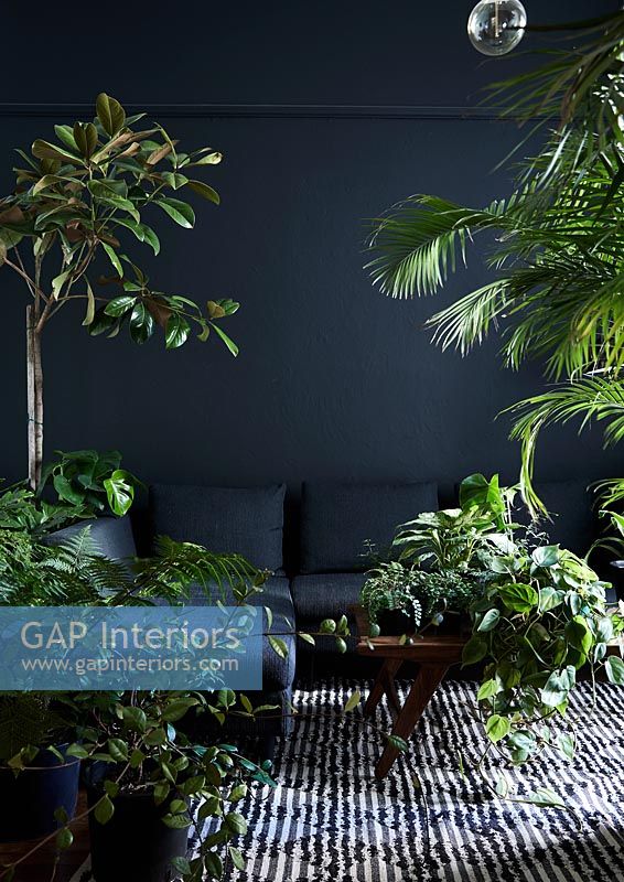 Black living room with green houseplants 