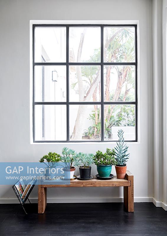 Modern window with pot plants