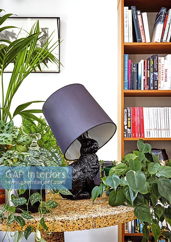 Modern lamp with house plants 