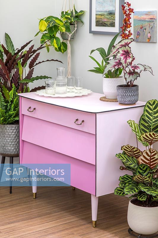 Finished set of drawers painted dusty pink with drawers in different shades - ombre paint effect, surrounded with a mix of houseplants