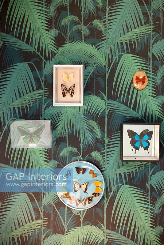 Pattern wallpaper and butterfly displays 