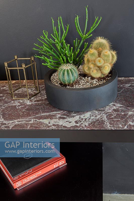 Cacti in black pot on marble side table 