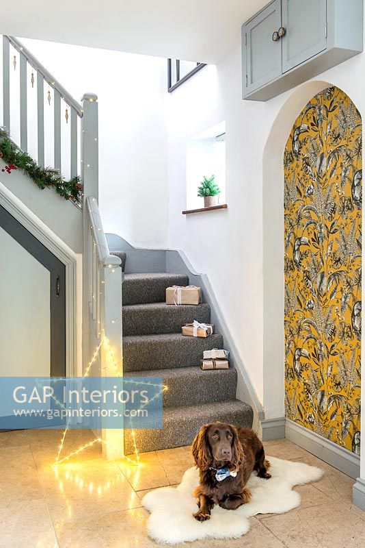 Pet dog on rug in modern hallway with Christmas star light and gifts 