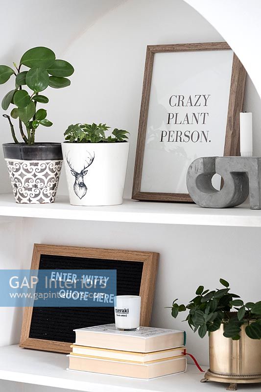 Houseplants and pictures on white shelving 