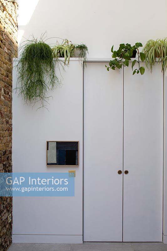 White door with houseplants 