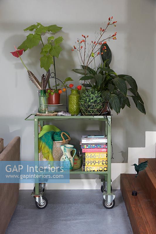 Green trolley with houseplants and accessories 