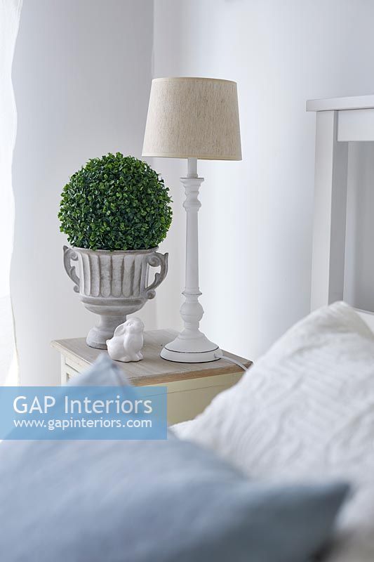 Lamp and small topiary plant on modern bedside table 