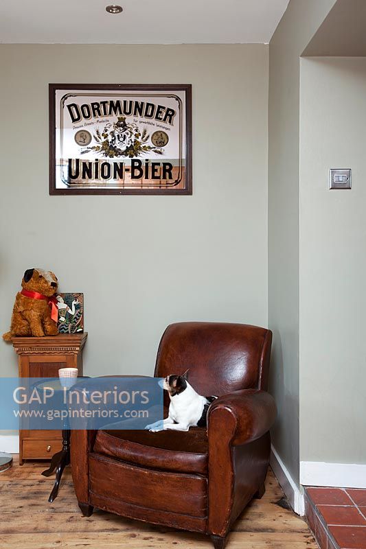 Pet dog on vintage brown leather armchair 