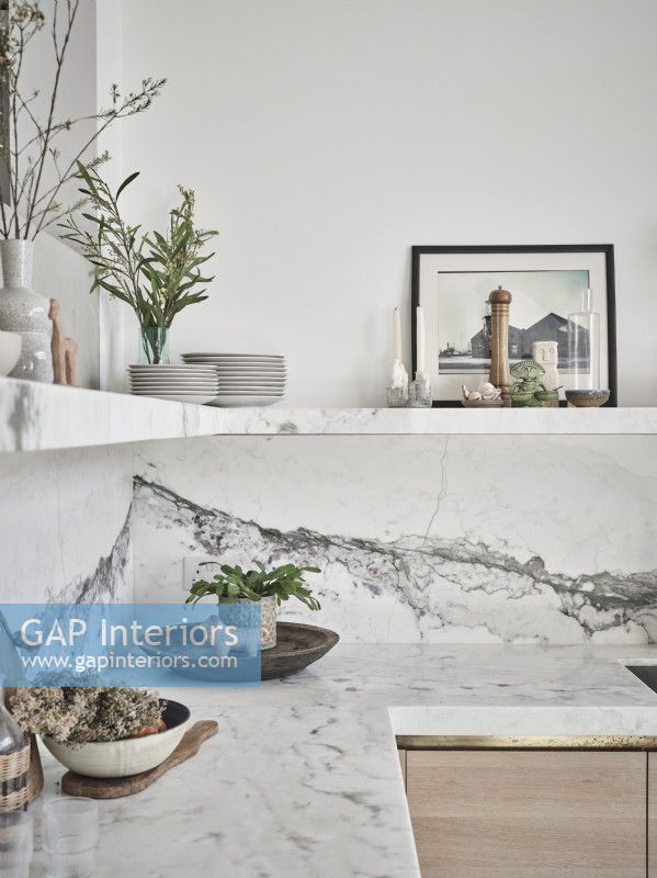 House plant arrangements on marble kitchen surfaces