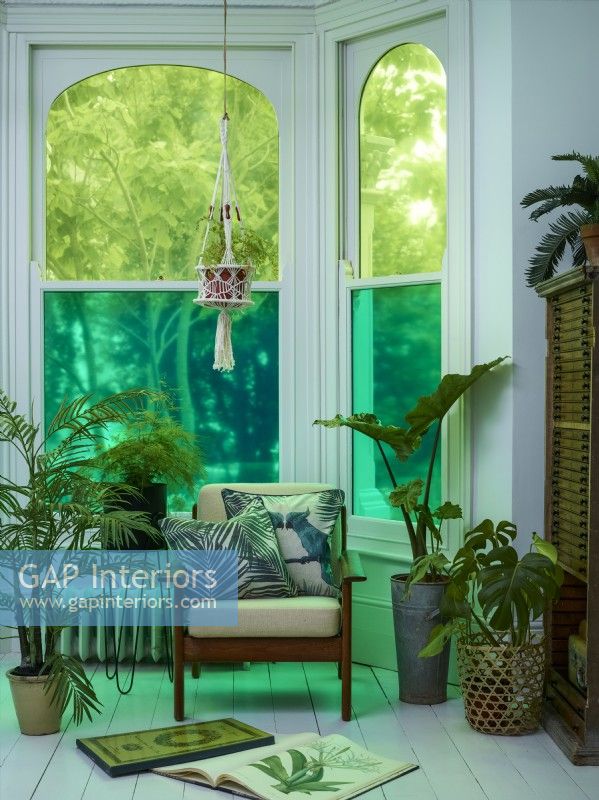 Window with coloured privacy film and indoor plants