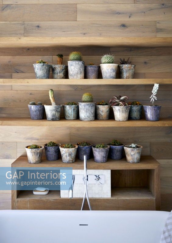 Display of potted plants on wooden bathroom wall shelves