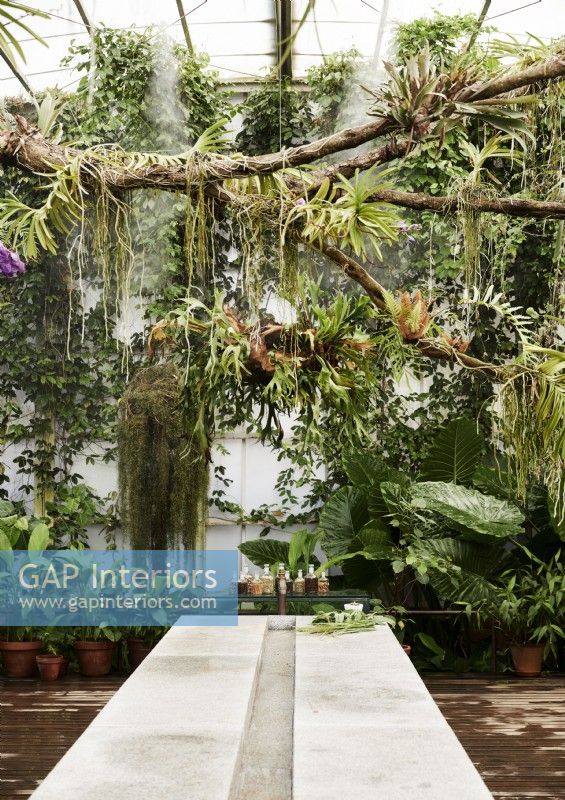 Concrete table with water rill in centre inside large tropical glasshouse 
