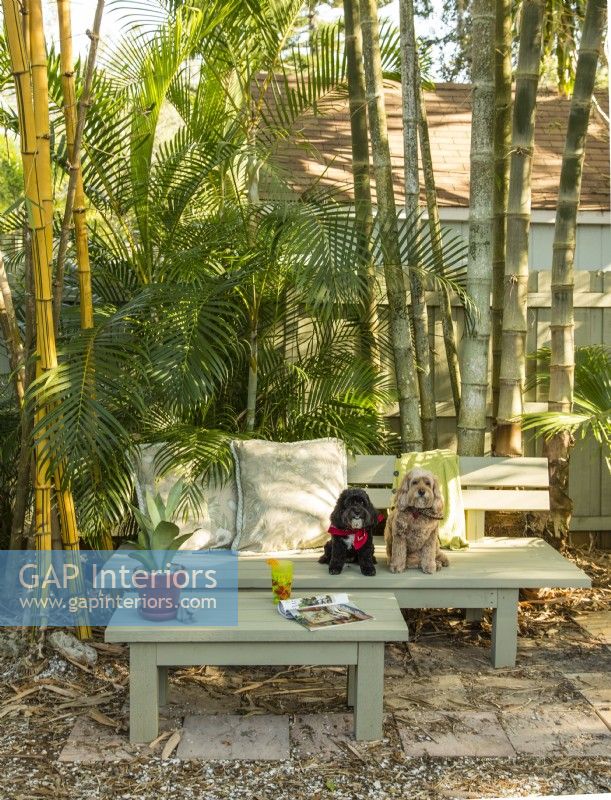Lana and Sophie, Michele's pets appreciate  a bit of shade from bamboos and palms.