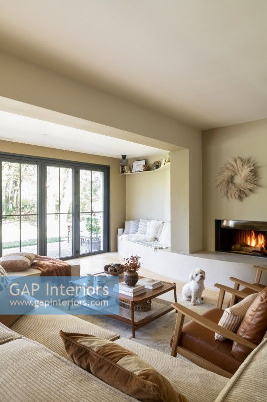 Pet dog by fireplace in modern living room