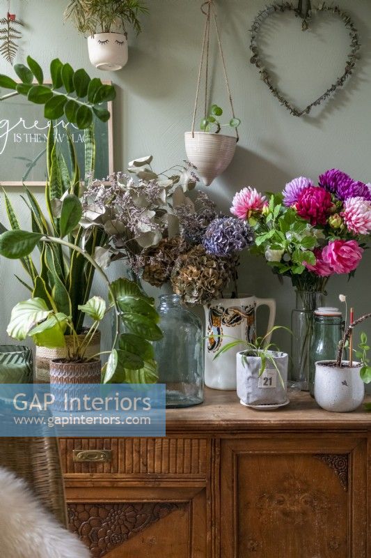 Houseplants and flower arrangements on vintage sideboard - detail
