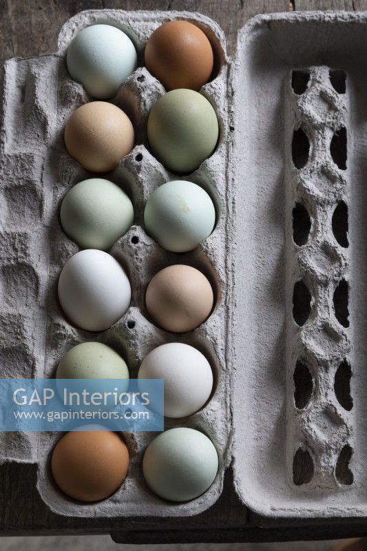 Carton of eggs of different colours and types - detail