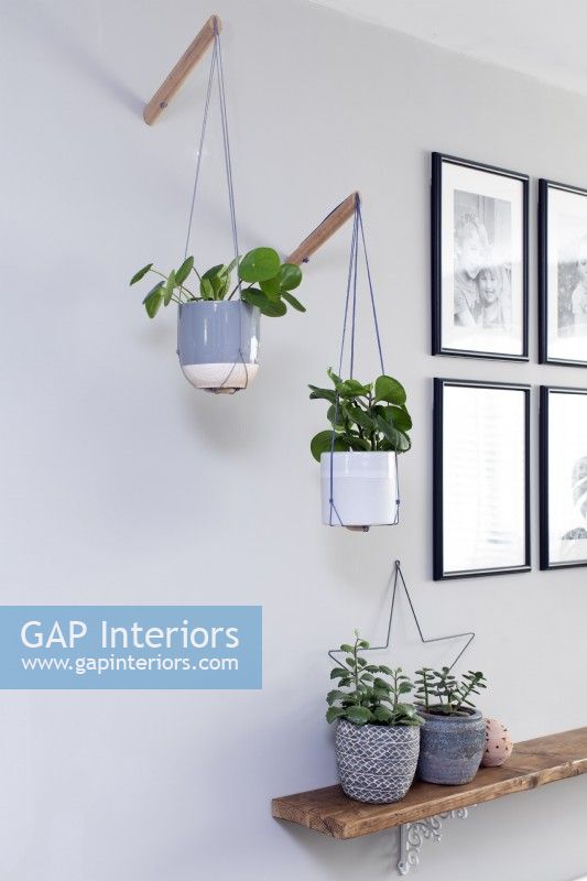 Hanging Wall potted plants in monochrome sitting room
